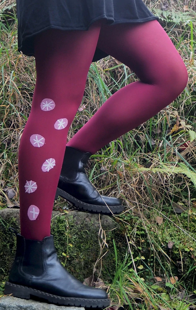 Večerníčkovy vánoční  hvězdičky